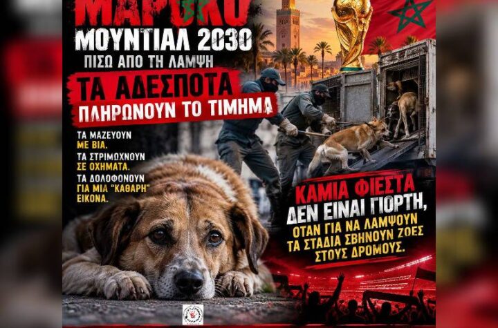 Κακοποίηση ζώων και ακτιβισμός - Η αδέσμευτη φωνή των τετράποδων