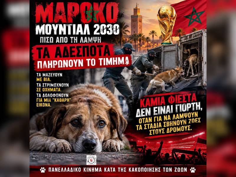Κακοποίηση ζώων και ακτιβισμός - Η αδέσμευτη φωνή των τετράποδων
