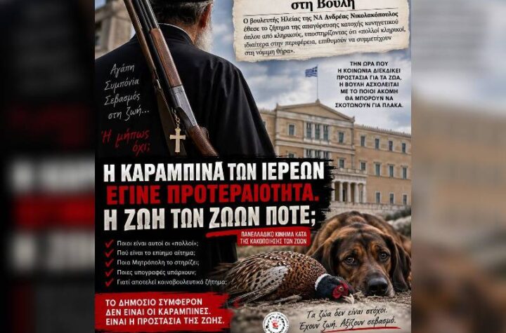 Κακοποίηση ζώων και ακτιβισμός - Η αδέσμευτη φωνή των τετράποδων