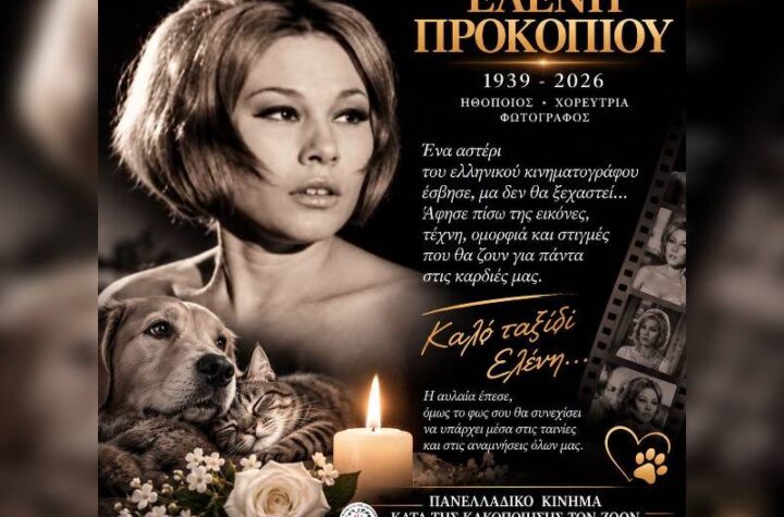 Κακοποίηση ζώων και ακτιβισμός - Η αδέσμευτη φωνή των τετράποδων