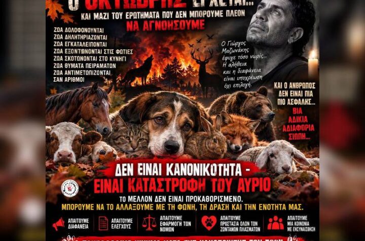 Κακοποίηση ζώων και ακτιβισμός - Η αδέσμευτη φωνή των τετράποδων