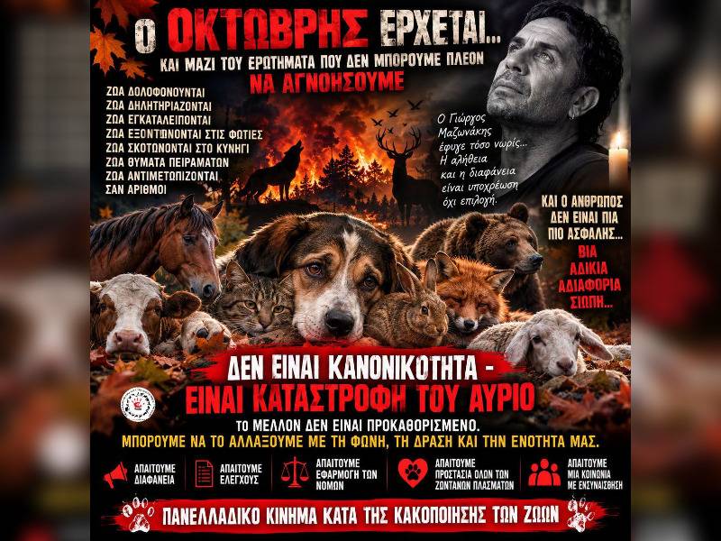 Κακοποίηση ζώων και ακτιβισμός - Η αδέσμευτη φωνή των τετράποδων