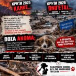 Κακοποίηση ζώων και ακτιβισμός - Η αδέσμευτη φωνή των τετράποδων