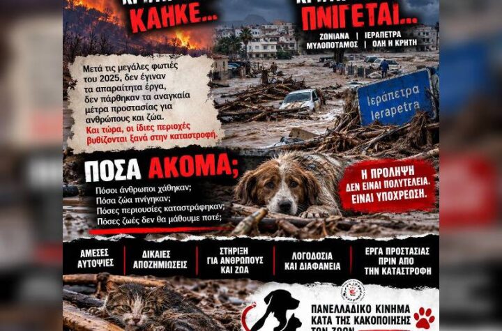 Κακοποίηση ζώων και ακτιβισμός - Η αδέσμευτη φωνή των τετράποδων