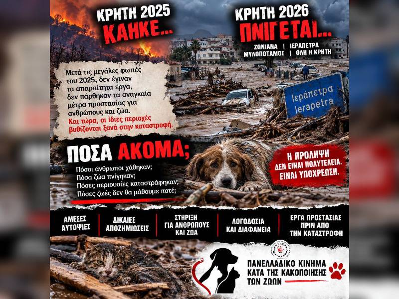 Κακοποίηση ζώων και ακτιβισμός - Η αδέσμευτη φωνή των τετράποδων
