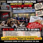 Κακοποίηση ζώων και ακτιβισμός - Η αδέσμευτη φωνή των τετράποδων