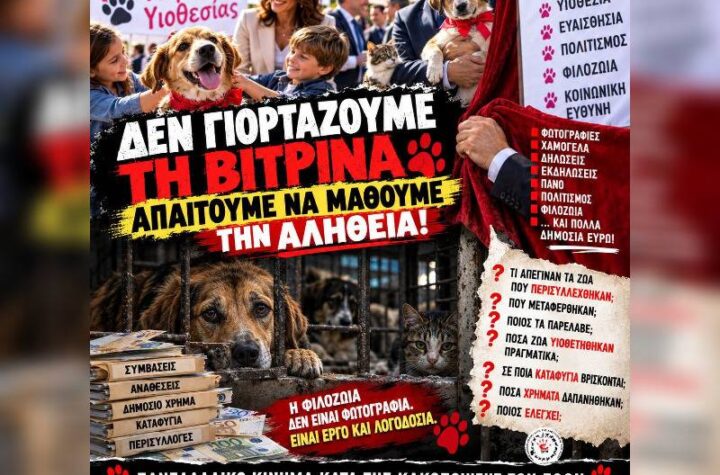 Κακοποίηση ζώων και ακτιβισμός - Η αδέσμευτη φωνή των τετράποδων