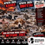 Κακοποίηση ζώων και ακτιβισμός - Η αδέσμευτη φωνή των τετράποδων