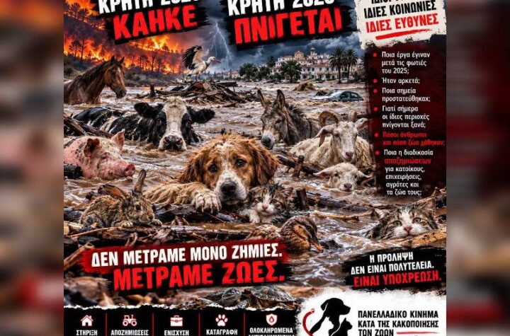 Κακοποίηση ζώων και ακτιβισμός - Η αδέσμευτη φωνή των τετράποδων