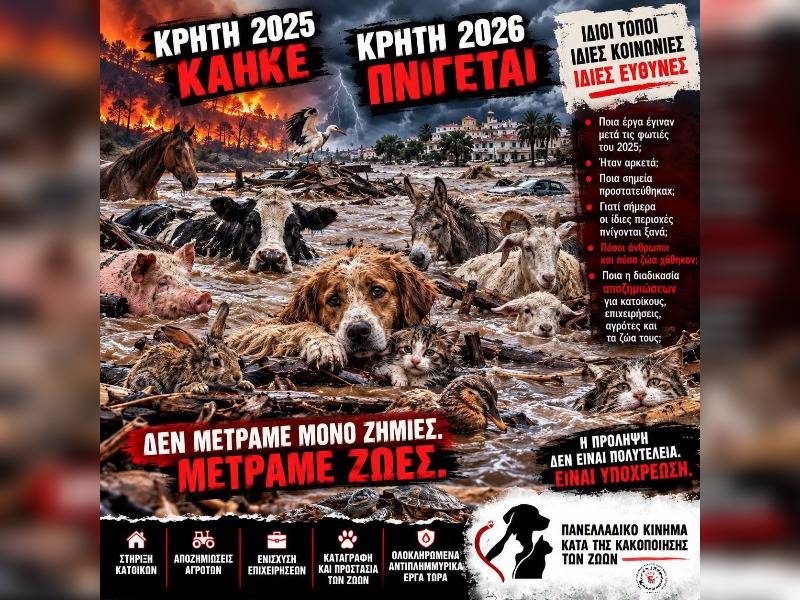 Κακοποίηση ζώων και ακτιβισμός - Η αδέσμευτη φωνή των τετράποδων