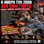 Κακοποίηση ζώων και ακτιβισμός - Η αδέσμευτη φωνή των τετράποδων