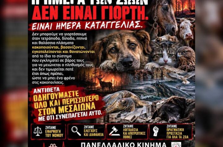 Κακοποίηση ζώων και ακτιβισμός - Η αδέσμευτη φωνή των τετράποδων