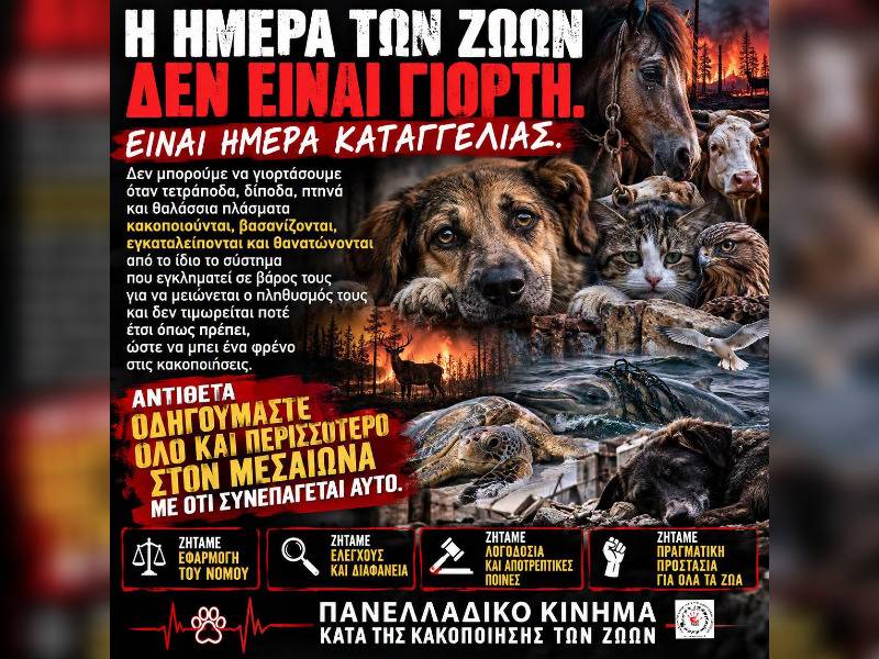 Κακοποίηση ζώων και ακτιβισμός - Η αδέσμευτη φωνή των τετράποδων
