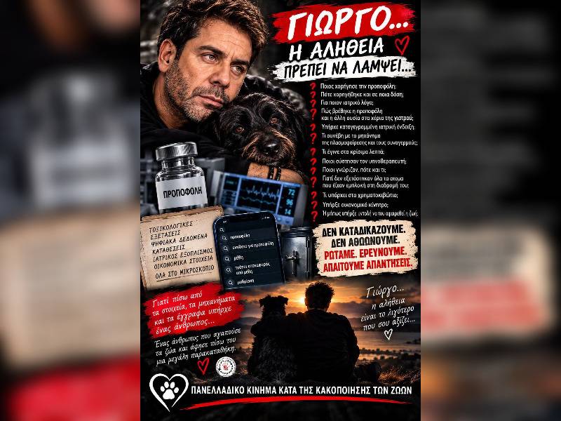 Κακοποίηση ζώων και ακτιβισμός - Η αδέσμευτη φωνή των τετράποδων