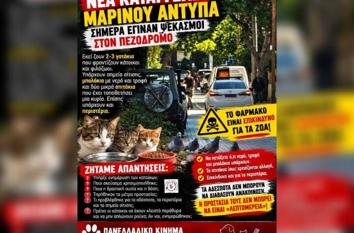 Κακοποίηση ζώων και ακτιβισμός - Η αδέσμευτη φωνή των τετράποδων