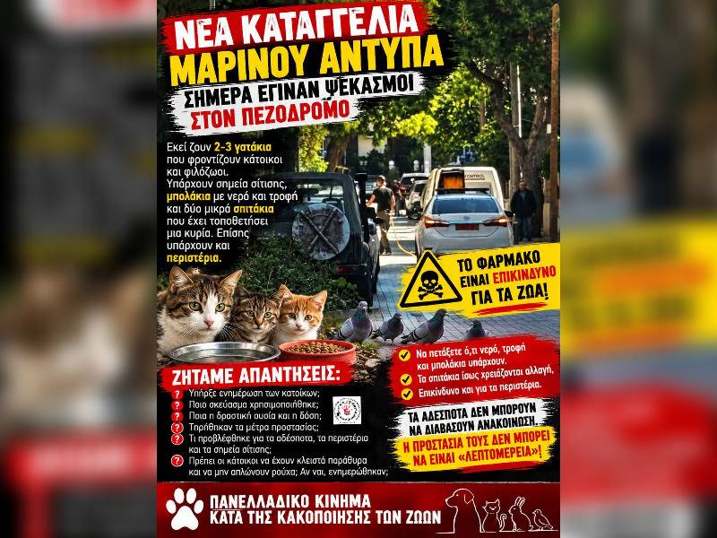 Κακοποίηση ζώων και ακτιβισμός - Η αδέσμευτη φωνή των τετράποδων