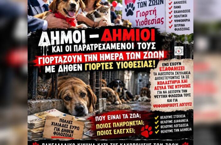 Κακοποίηση ζώων και ακτιβισμός - Η αδέσμευτη φωνή των τετράποδων
