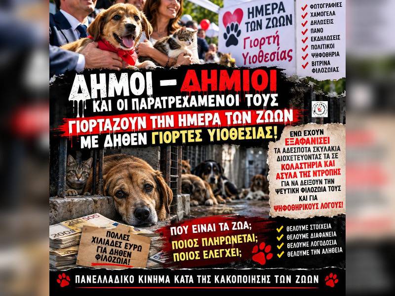 Κακοποίηση ζώων και ακτιβισμός - Η αδέσμευτη φωνή των τετράποδων