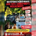 Κακοποίηση ζώων και ακτιβισμός - Η αδέσμευτη φωνή των τετράποδων