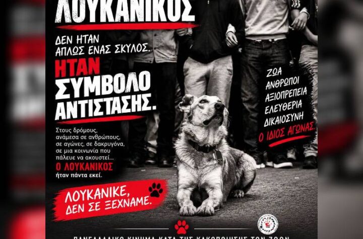 Κακοποίηση ζώων και ακτιβισμός - Η αδέσμευτη φωνή των τετράποδων