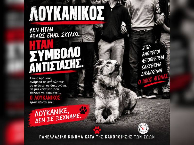 Κακοποίηση ζώων και ακτιβισμός - Η αδέσμευτη φωνή των τετράποδων