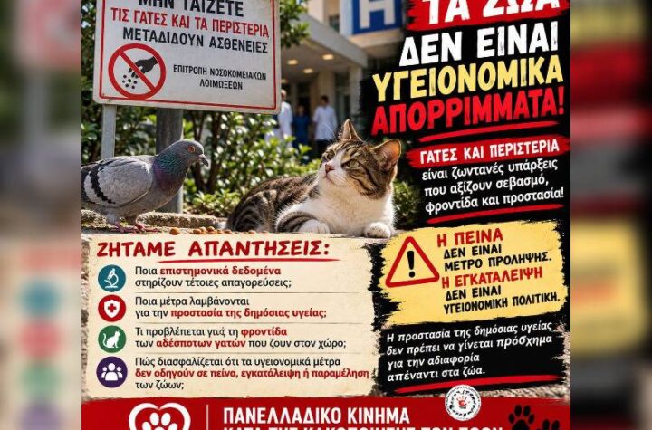 Κακοποίηση ζώων και ακτιβισμός - Η αδέσμευτη φωνή των τετράποδων