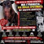 ΚΑΤΑΓΓΕΛΙΑ – ΕΝΑ ΣΚΥΛΙ ΜΕ ΣΟΒΑΡΑ ΤΡΑΥΜΑΤΑ ΣΤΗΝ ΗΛΕΙΑ. ΜΙΑ ΕΥΘΑΝΑΣΙΑ. ΚΑΙ ΠΟΛΛΑ ΕΡΩΤΗΜΑΤΑ, ΠΟΥ ΑΠΑΙΤΟΥΝ ΑΠΑΝΤΗΣΕΙΣ