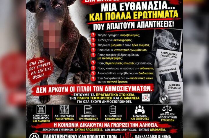 Κακοποίηση ζώων και ακτιβισμός - Η αδέσμευτη φωνή των τετράποδων