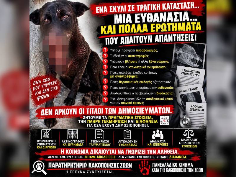 Κακοποίηση ζώων και ακτιβισμός - Η αδέσμευτη φωνή των τετράποδων