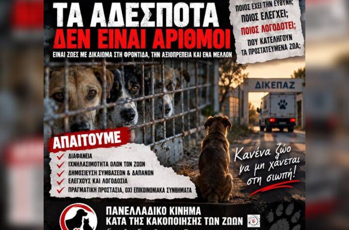 Κακοποίηση ζώων και ακτιβισμός - Η αδέσμευτη φωνή των τετράποδων