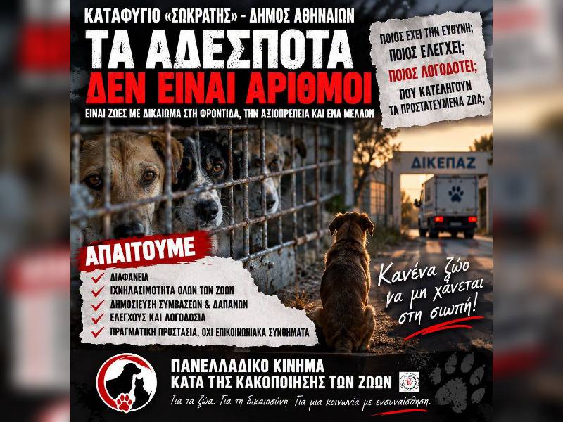 Κακοποίηση ζώων και ακτιβισμός - Η αδέσμευτη φωνή των τετράποδων