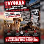 Κακοποίηση ζώων και ακτιβισμός - Η αδέσμευτη φωνή των τετράποδων