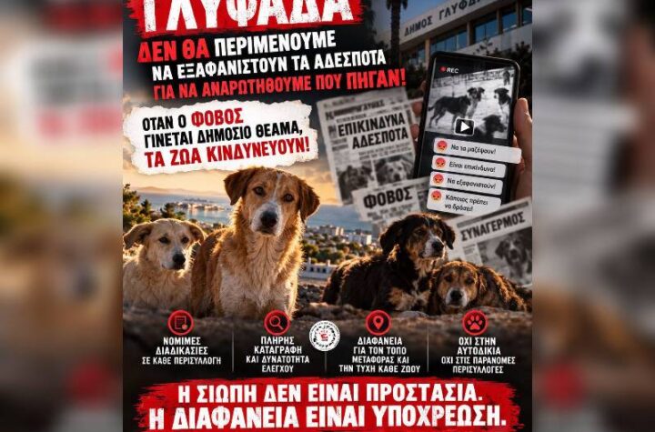 Κακοποίηση ζώων και ακτιβισμός - Η αδέσμευτη φωνή των τετράποδων