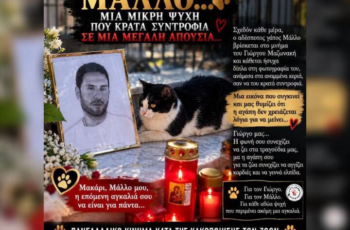 Κακοποίηση ζώων και ακτιβισμός - Η αδέσμευτη φωνή των τετράποδων