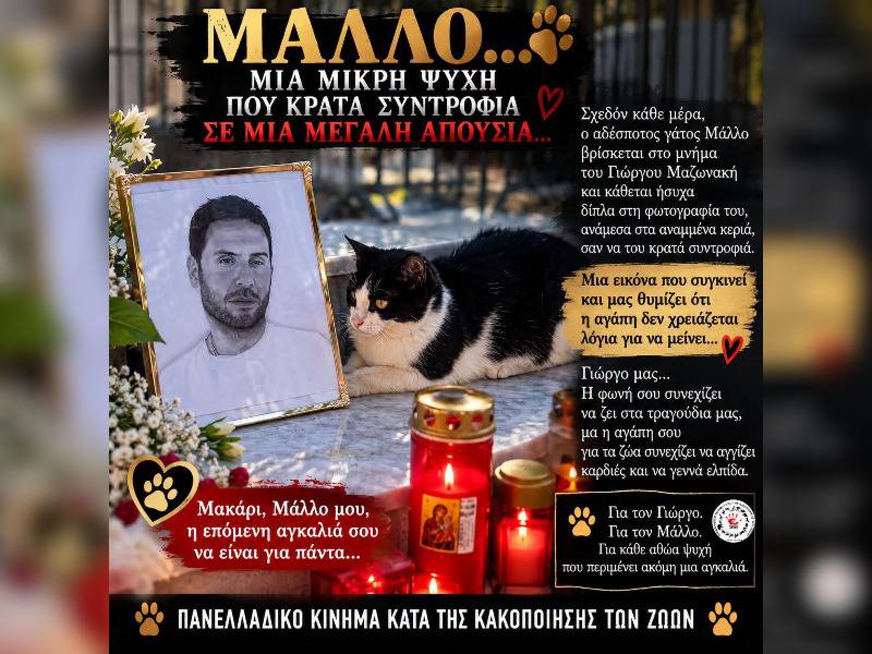 Κακοποίηση ζώων και ακτιβισμός - Η αδέσμευτη φωνή των τετράποδων