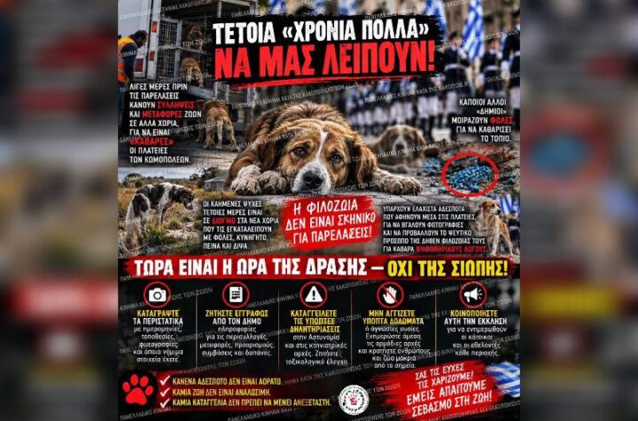 Κακοποίηση ζώων και ακτιβισμός - Η αδέσμευτη φωνή των τετράποδων