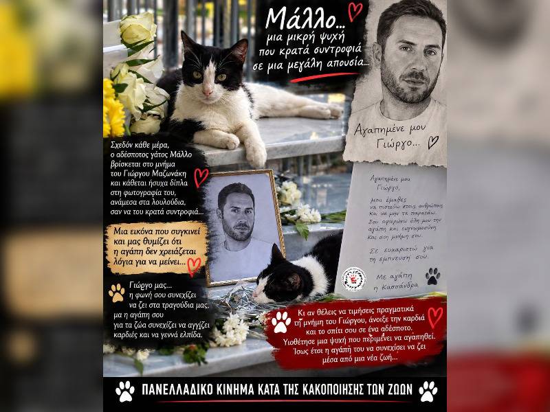 Κακοποίηση ζώων και ακτιβισμός - Η αδέσμευτη φωνή των τετράποδων