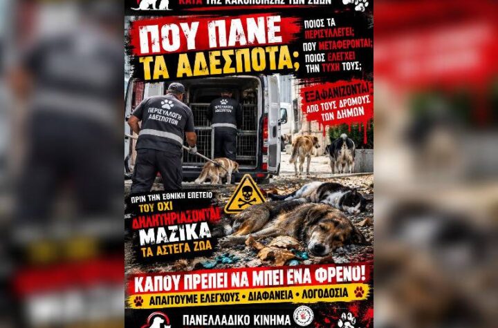 Κακοποίηση ζώων και ακτιβισμός - Η αδέσμευτη φωνή των τετράποδων