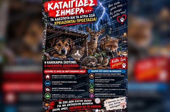 Κακοποίηση ζώων και ακτιβισμός - Η αδέσμευτη φωνή των τετράποδων