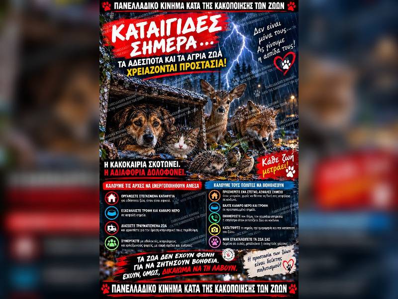 Κακοποίηση ζώων και ακτιβισμός - Η αδέσμευτη φωνή των τετράποδων