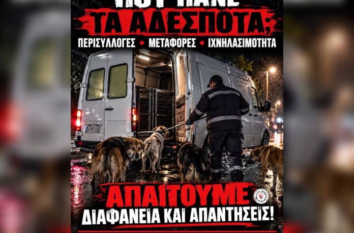 Κακοποίηση ζώων και ακτιβισμός - Η αδέσμευτη φωνή των τετράποδων