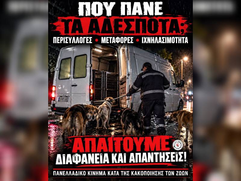 Κακοποίηση ζώων και ακτιβισμός - Η αδέσμευτη φωνή των τετράποδων