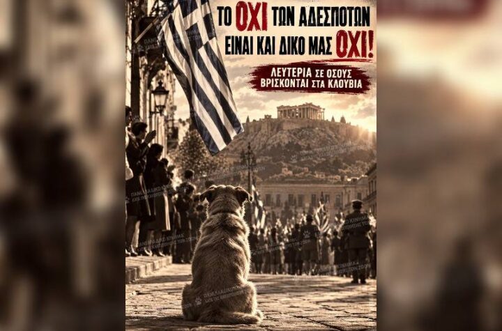 Κακοποίηση ζώων και ακτιβισμός - Η αδέσμευτη φωνή των τετράποδων