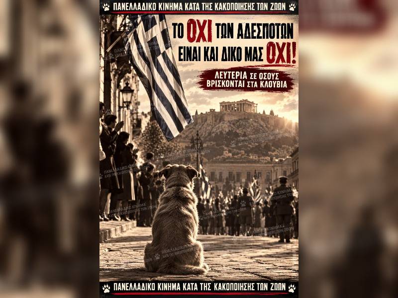 Κακοποίηση ζώων και ακτιβισμός - Η αδέσμευτη φωνή των τετράποδων