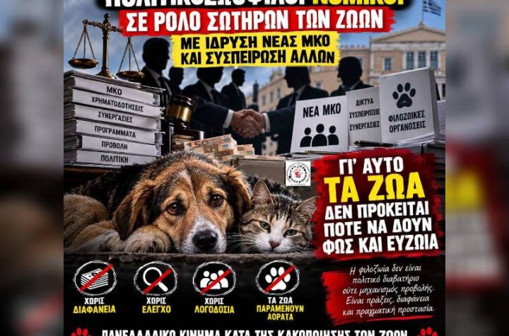 Κακοποίηση ζώων και ακτιβισμός - Η αδέσμευτη φωνή των τετράποδων