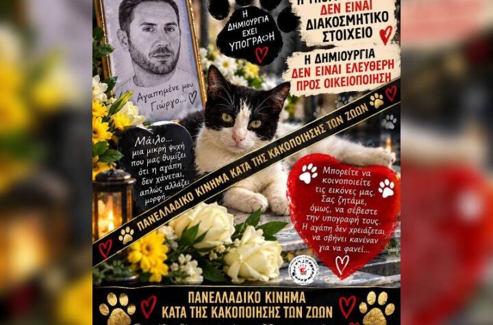 Κακοποίηση ζώων και ακτιβισμός - Η αδέσμευτη φωνή των τετράποδων