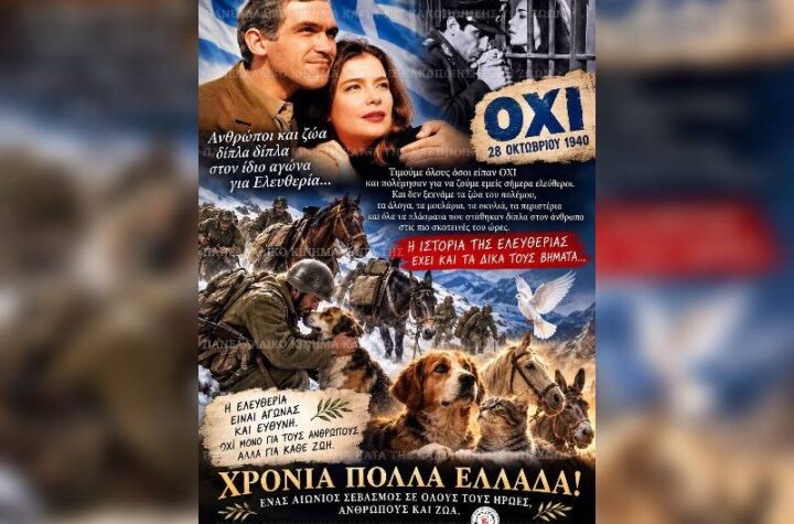 Κακοποίηση ζώων και ακτιβισμός - Η αδέσμευτη φωνή των τετράποδων