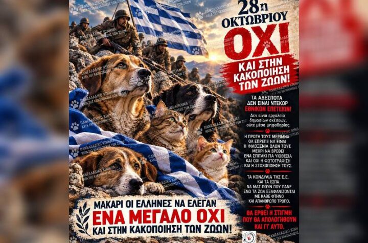 Κακοποίηση ζώων και ακτιβισμός - Η αδέσμευτη φωνή των τετράποδων