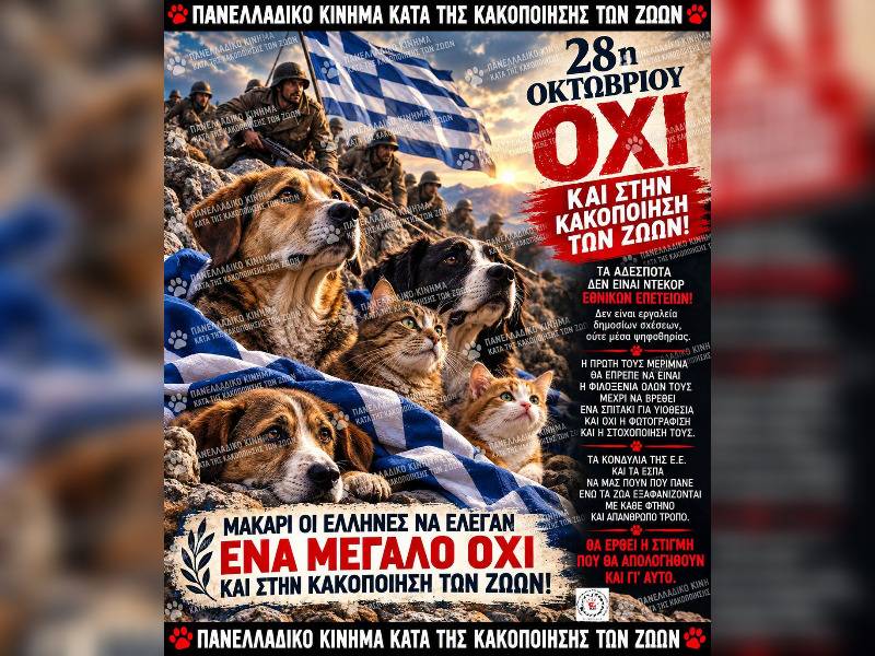 Κακοποίηση ζώων και ακτιβισμός - Η αδέσμευτη φωνή των τετράποδων